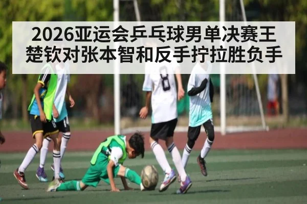 2026亚运会乒乓球男单决赛王楚钦对张本智和反手拧拉胜负手